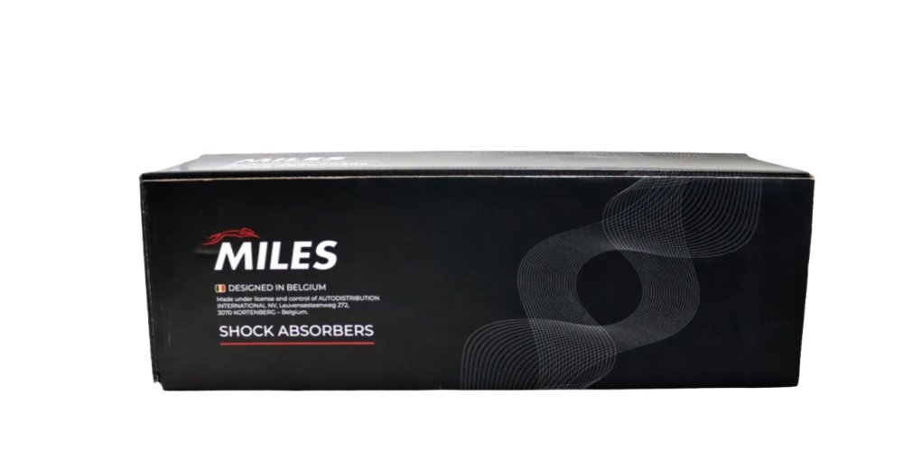 Амортизатор "MILES" задний правый (CHEVROLET LACETTI/DAEWOO NUBIRA 04- DG21025