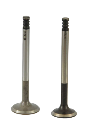 Клапана ВАЗ 2110-12 (комплект) АвтоВАЗ 21120100701085