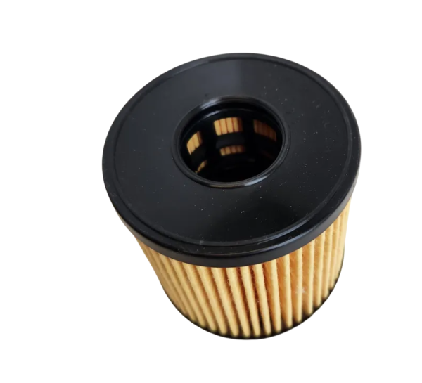 Фильтр масляный"LIVCAR" HYUNDAI Sonata 2020->/KIA K5 mot.2,0L 16V LCY072HU 