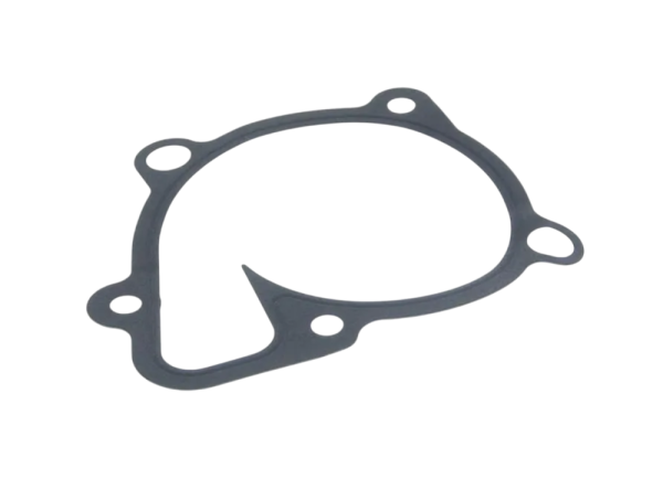 Прокладка помпы HYUNDAI/KIA 25124-2G500